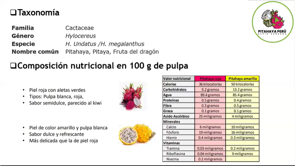 Generalidades del cultivo de Pitahaya 